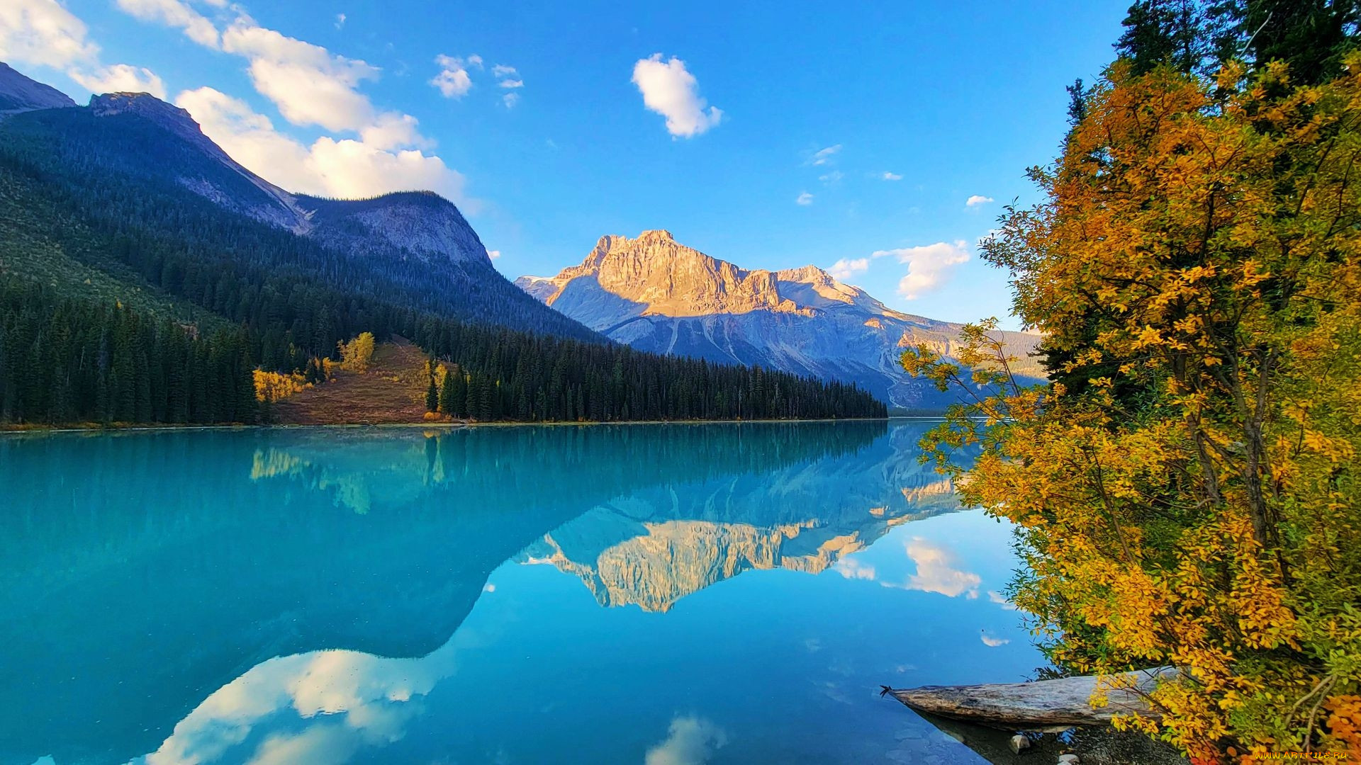 emerald lake, yoho np, british columbia, , , , emerald, lake, yoho, np, british, columbia